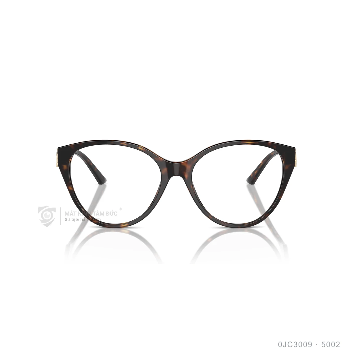 Gọng kính Jimmy Choo 0JC3009 - Ảnh 6