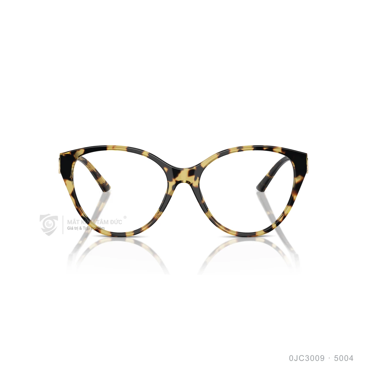 Gọng kính Jimmy Choo 0JC3009 - Ảnh 11