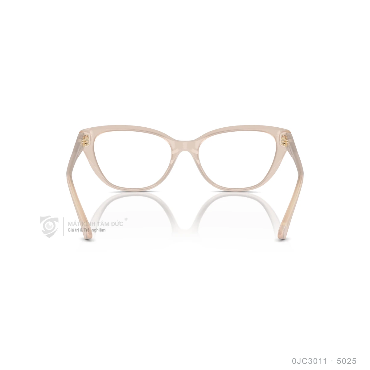 Gọng kính Jimmy Choo 0JC3011 - Ảnh 15