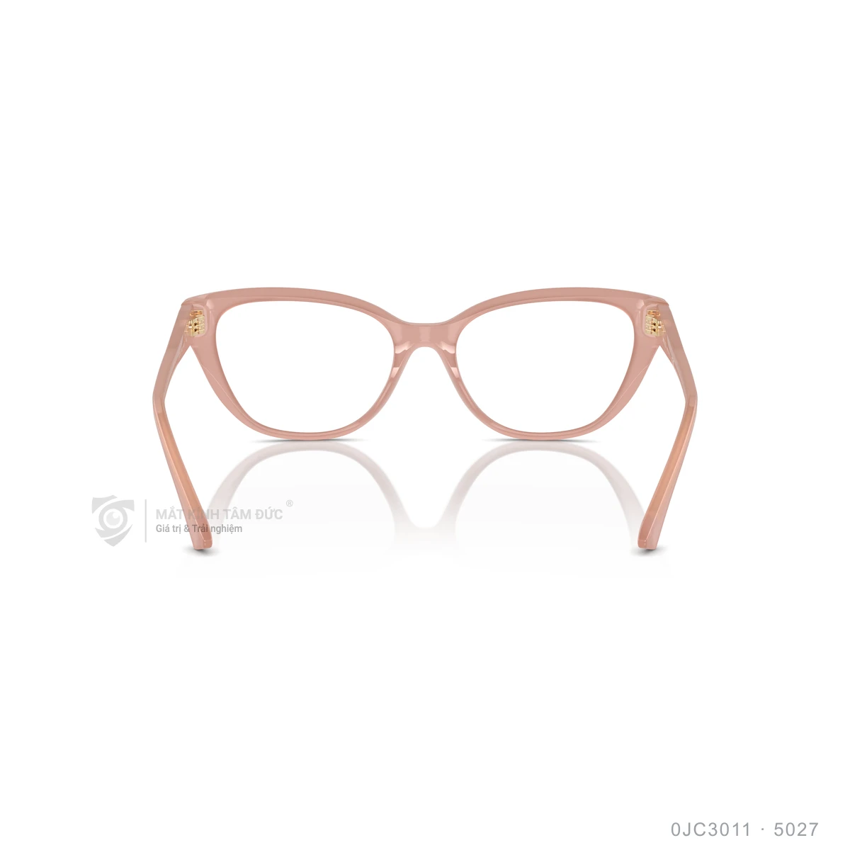 Gọng kính Jimmy Choo 0JC3011 - Ảnh 20