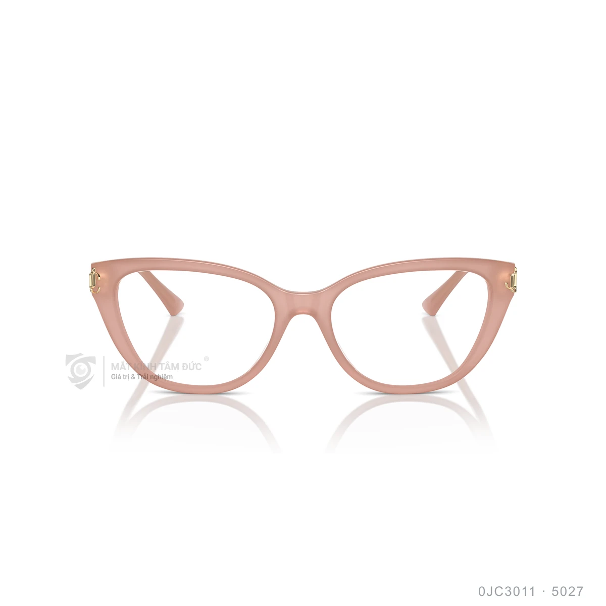 Gọng kính Jimmy Choo 0JC3011 - Ảnh 16