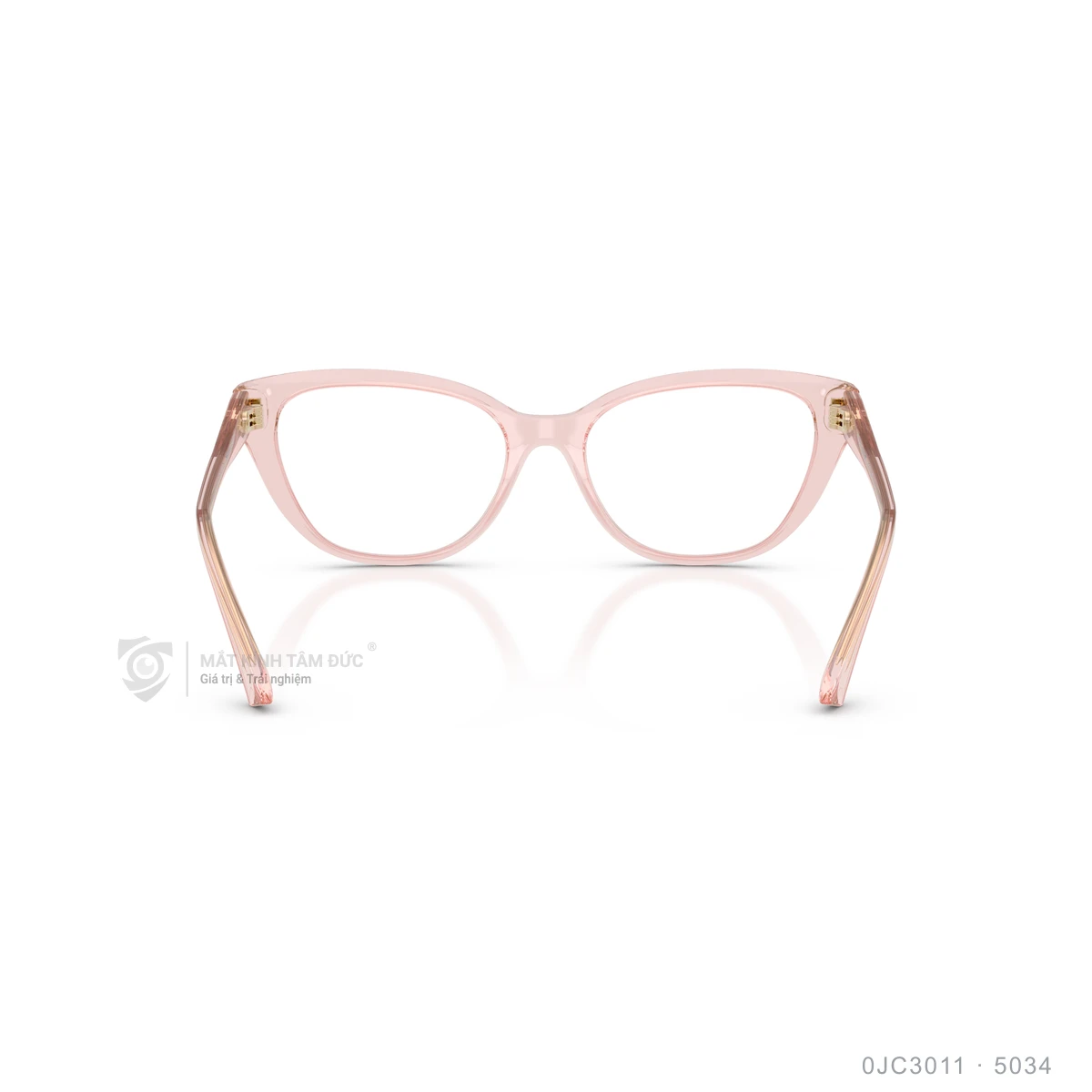 Gọng kính Jimmy Choo 0JC3011 - Ảnh 25