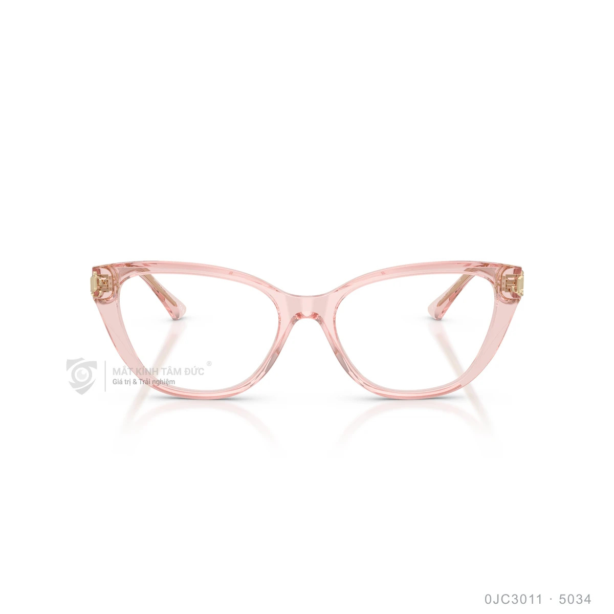 Gọng kính Jimmy Choo 0JC3011 - Ảnh 21