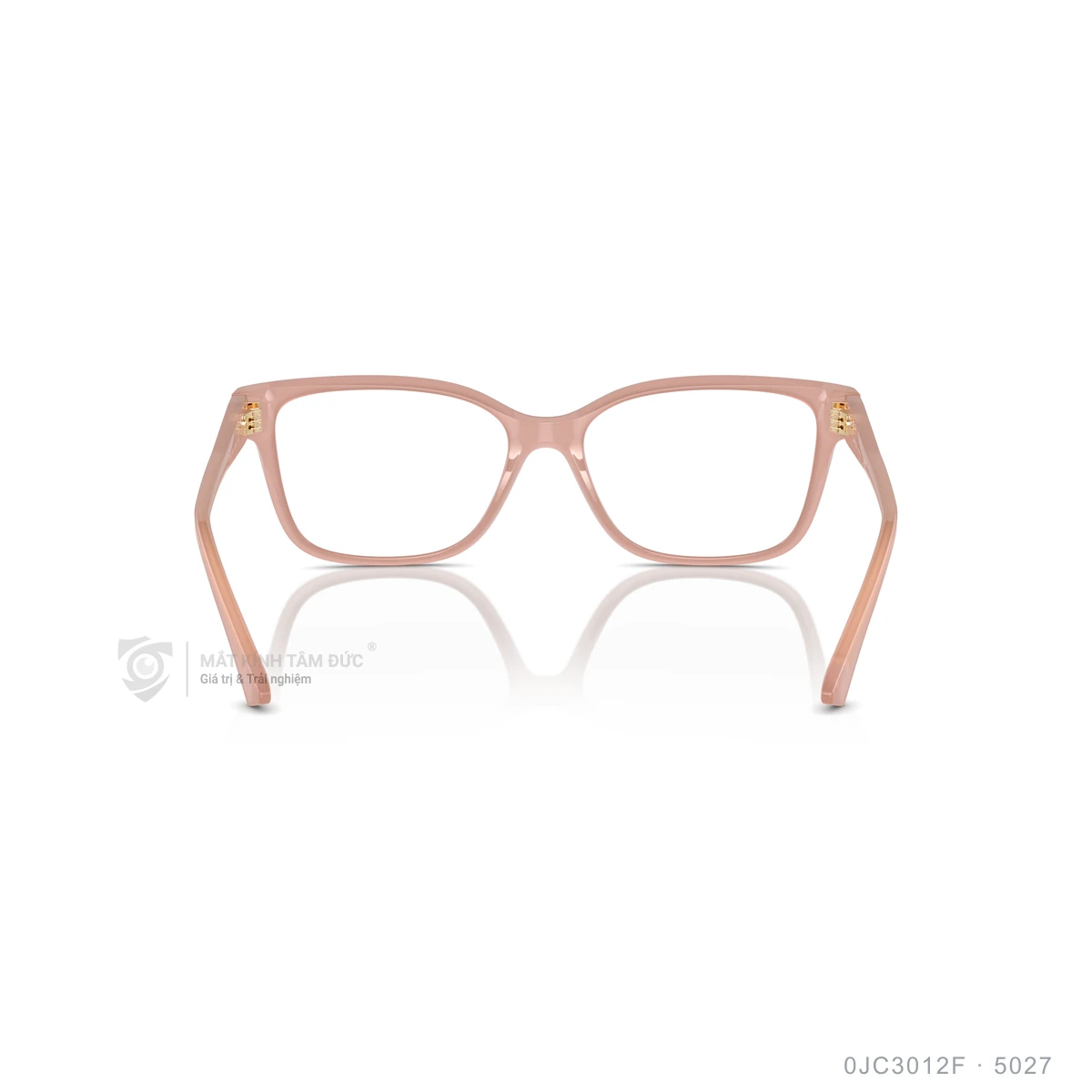 Gọng kính Jimmy Choo 0JC3012F - Ảnh 15
