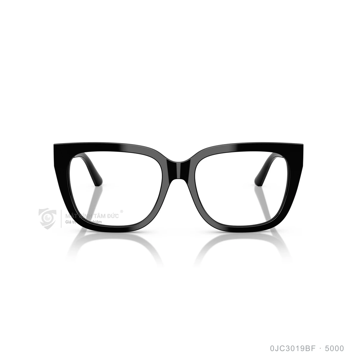 Hình ảnh thực tế Gọng kính Jimmy Choo 0JC3019BF