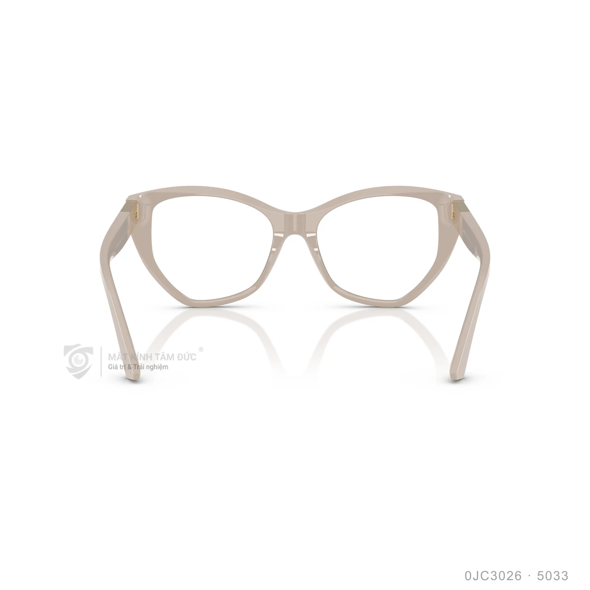 Gọng kính Jimmy Choo 0JC3026 - Ảnh 20