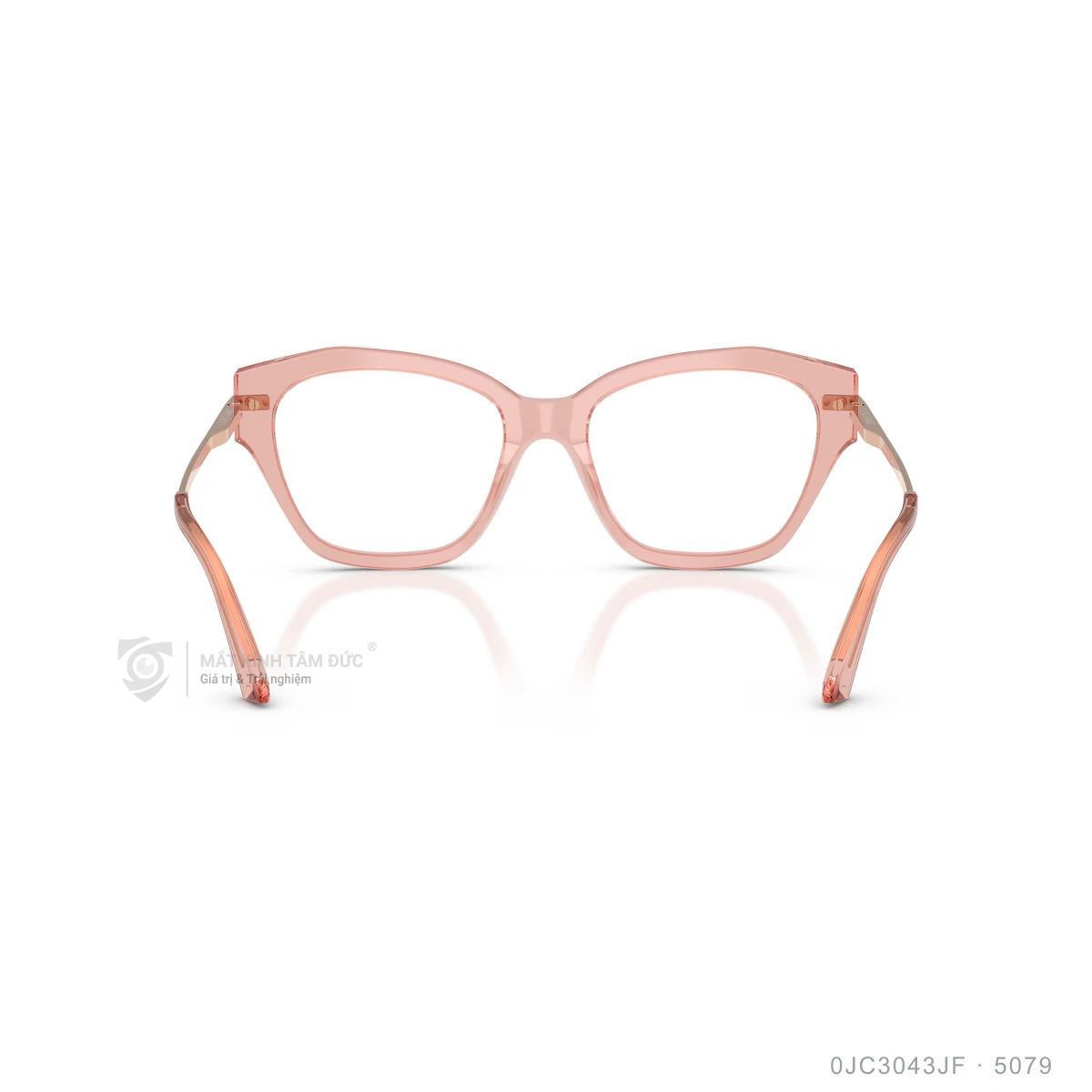 Gọng kính Jimmy Choo 0JC3043JF - Ảnh 15