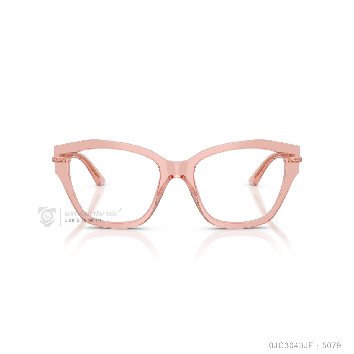 Gọng kính Jimmy Choo 0JC3043JF - Ảnh 11