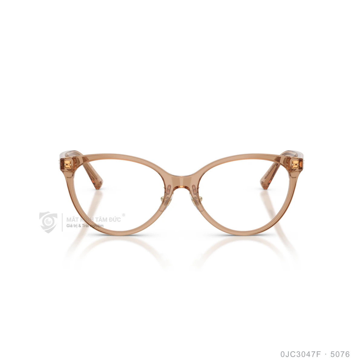 Gọng kính Jimmy Choo 0JC3047F - Ảnh 6