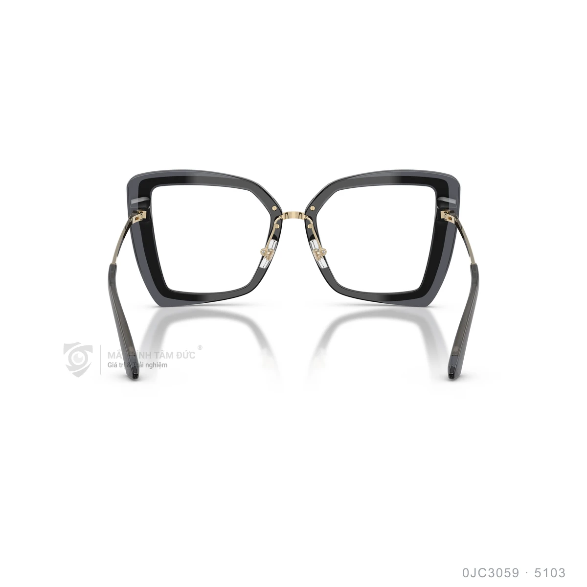 Gọng kính Jimmy Choo 0JC3059 - Ảnh 10