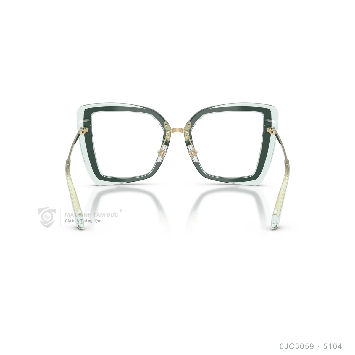Gọng kính Jimmy Choo 0JC3059 - Ảnh 15