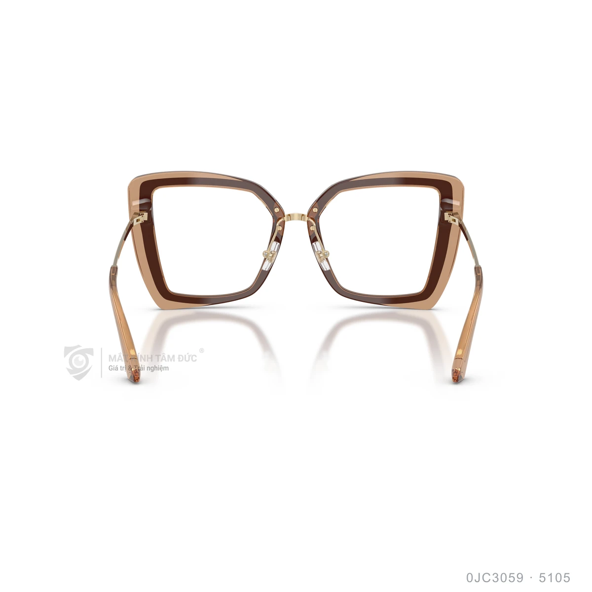 Gọng kính Jimmy Choo 0JC3059 - Ảnh 20