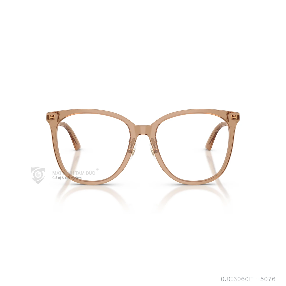 Gọng kính Jimmy Choo 0JC3060F