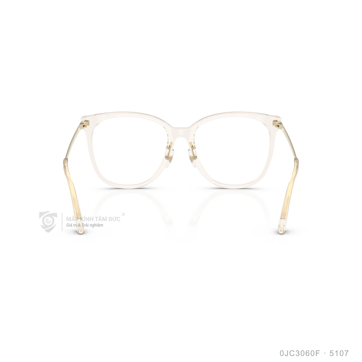 Gọng kính Jimmy Choo 0JC3060F - Ảnh 15