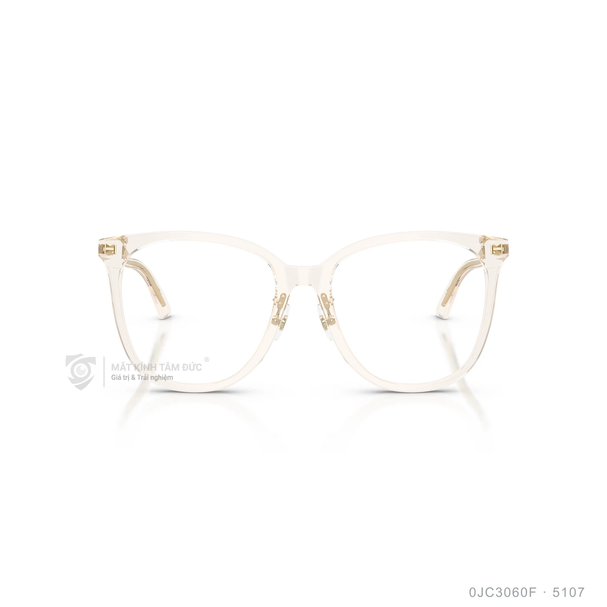 Gọng kính Jimmy Choo 0JC3060F - Ảnh 11