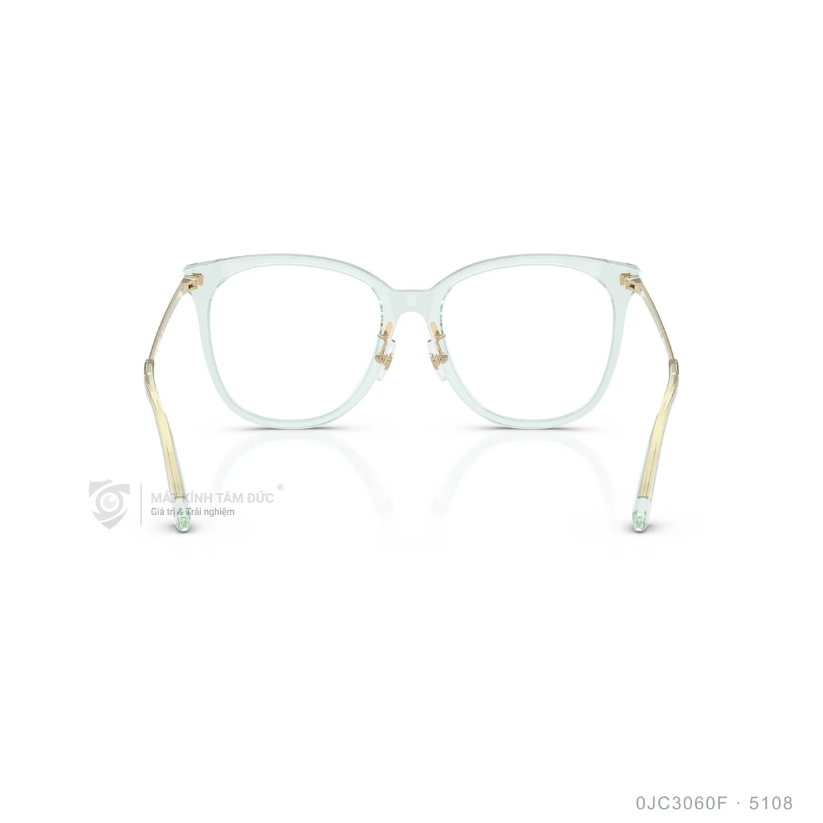 Gọng kính Jimmy Choo 0JC3060F - Ảnh 20