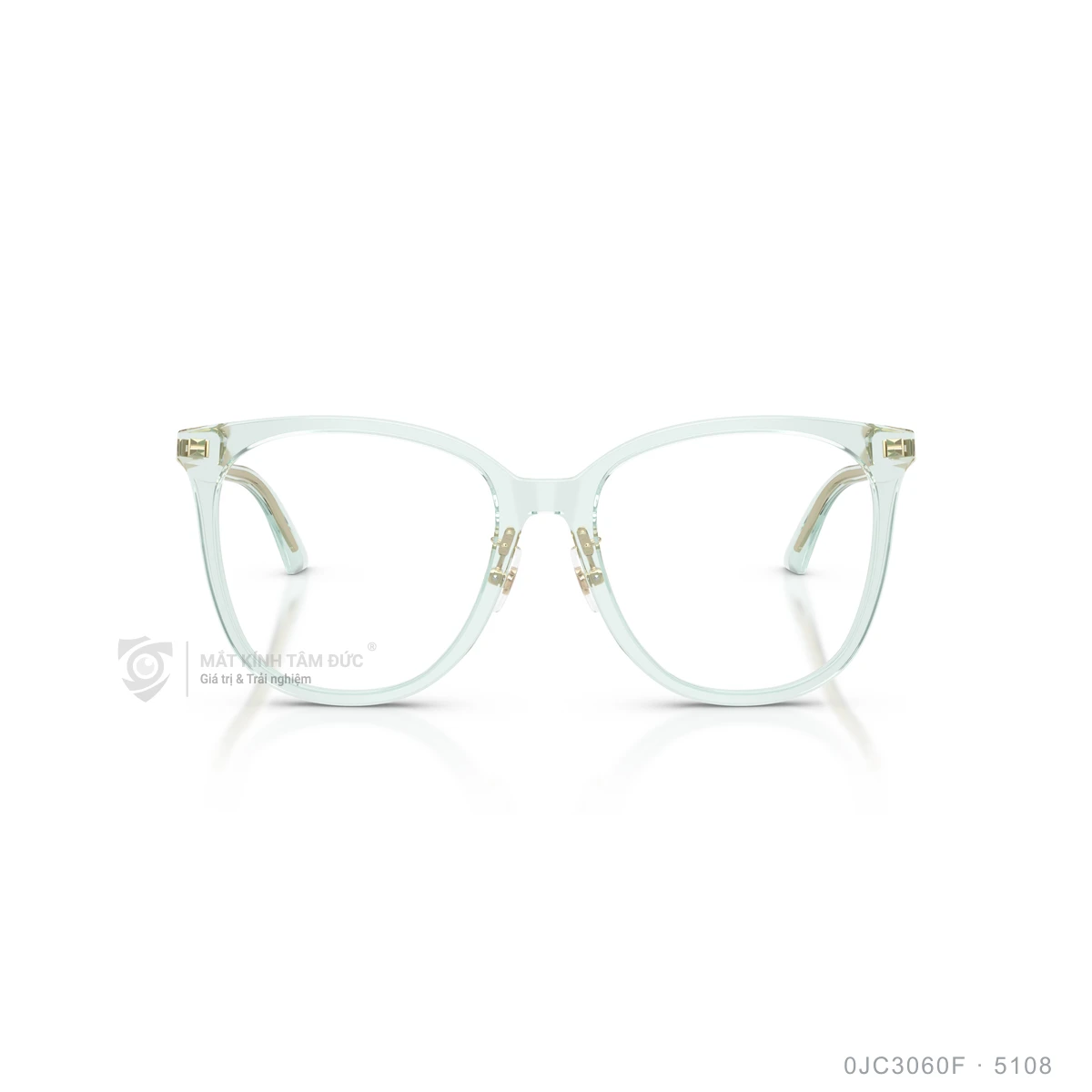 Gọng kính Jimmy Choo 0JC3060F - Ảnh 16