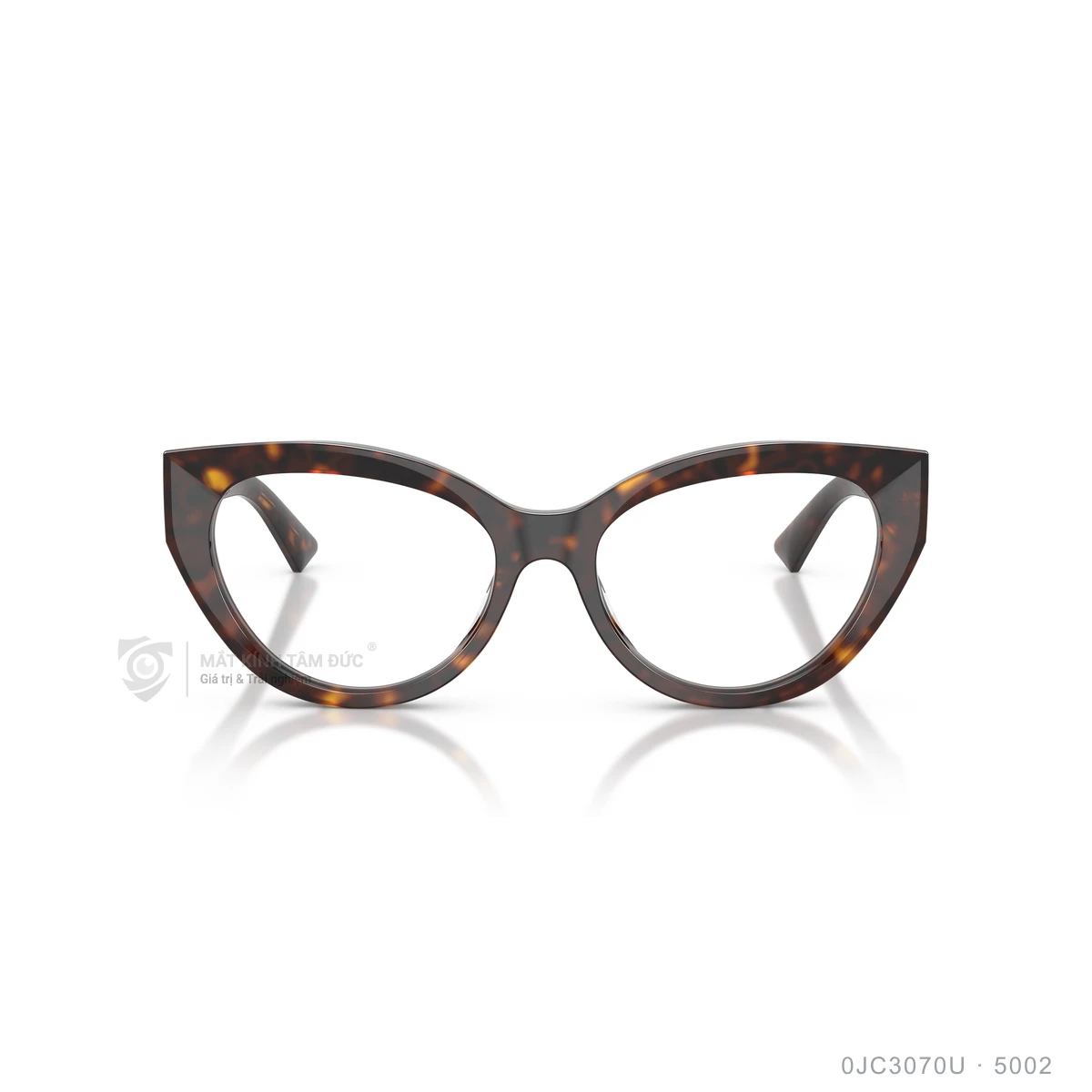 Gọng kính Jimmy Choo 0JC3070U - Ảnh 6
