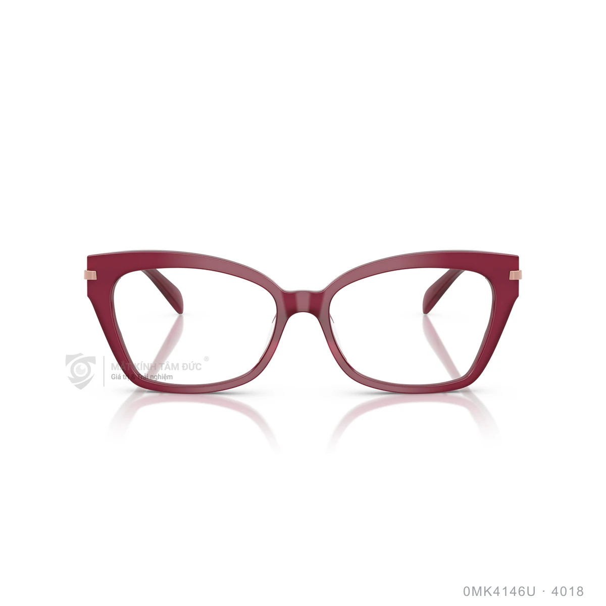 Gọng kính Michael Kors 0MK4146U - Ảnh 16