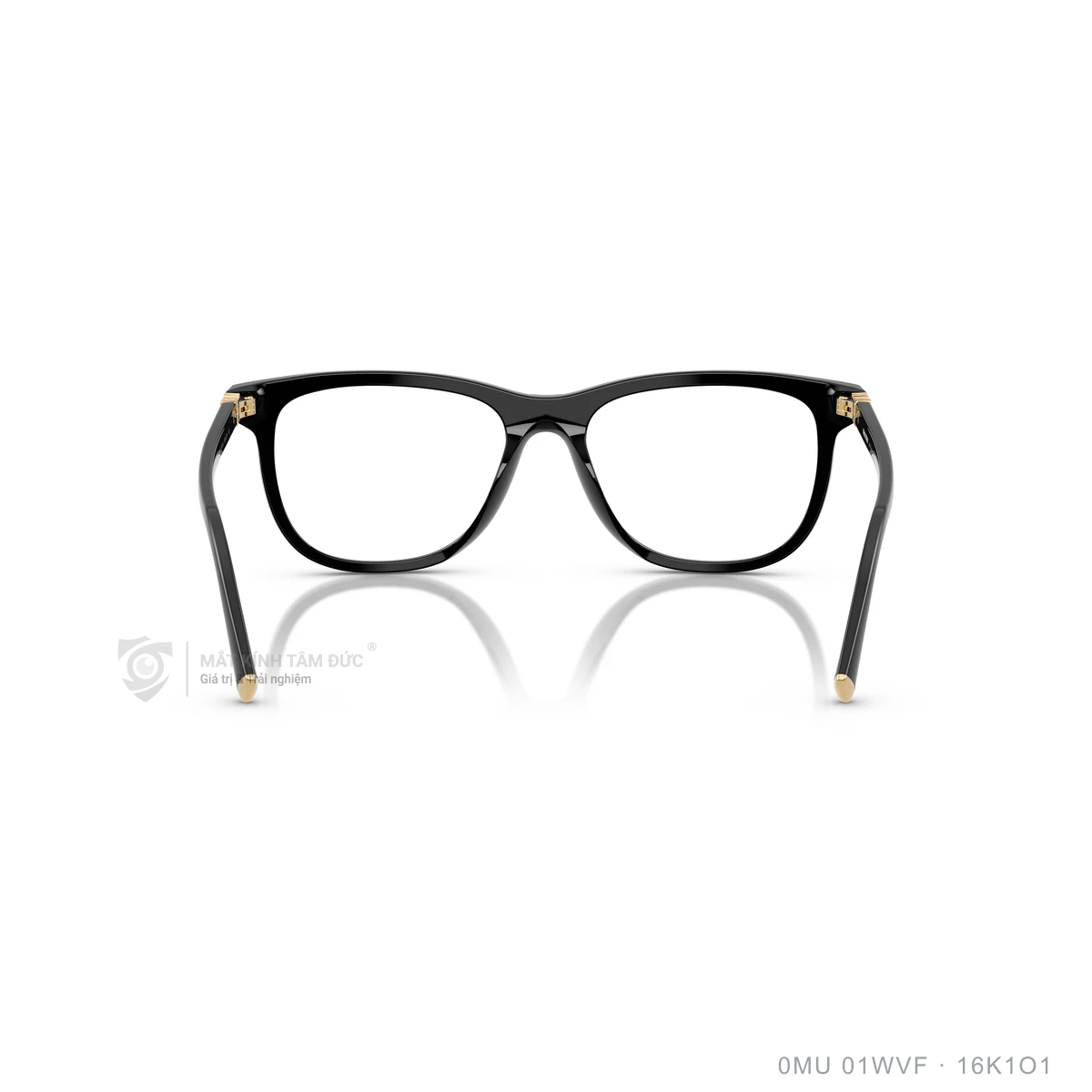 Gọng kính Miu Miu 0MU 01WVF - Ảnh 15