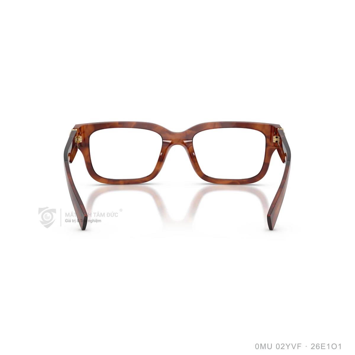 Gọng kính Miu Miu 0MU 02YVF - Ảnh 15
