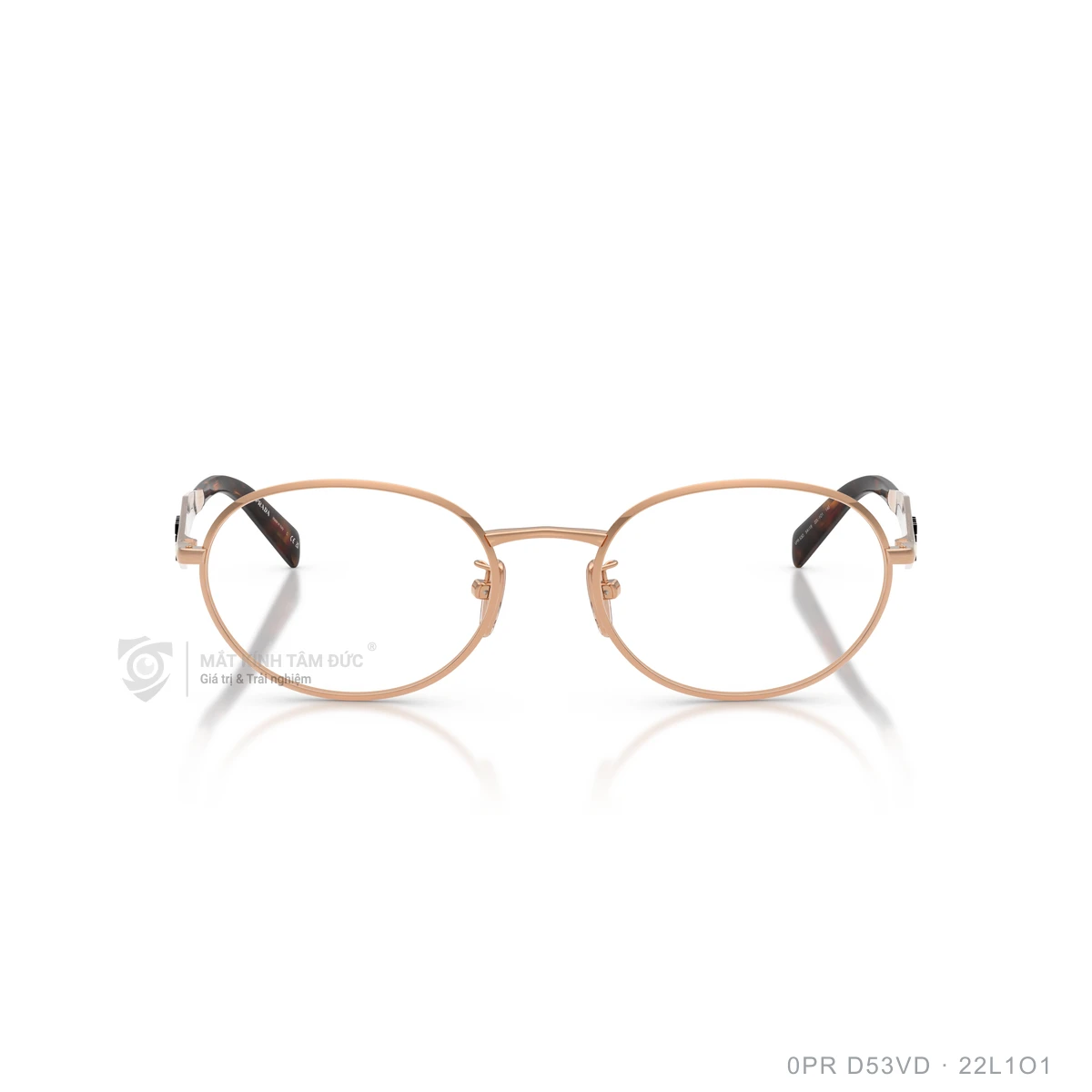 Gọng kính Prada 0PR D53VD - Ảnh 6