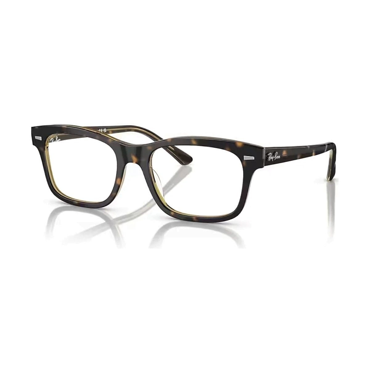 Gọng kính RAYBAN RX5383 - Ảnh 14