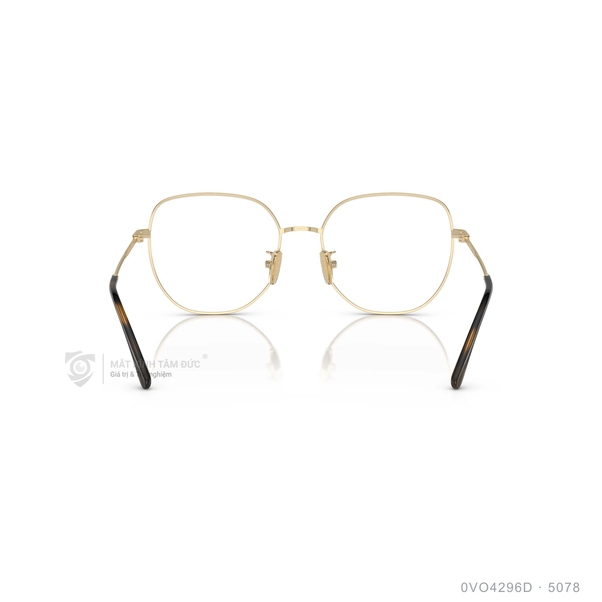 Gọng kính Vogue 0VO4296D - Ảnh 5
