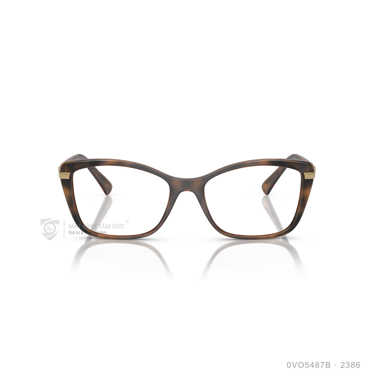 Gọng kính Vogue 0VO5487B