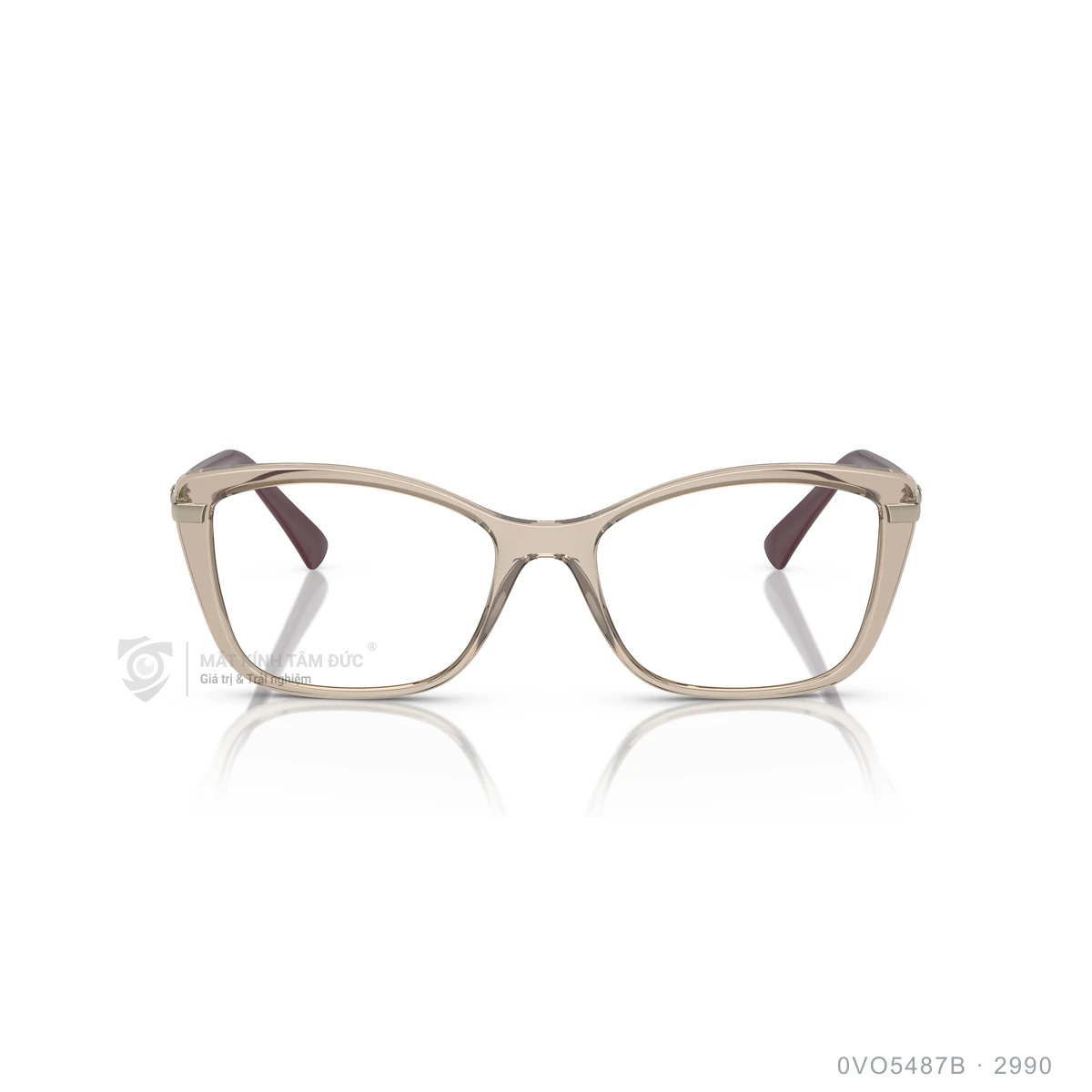 Gọng kính Vogue 0VO5487B - Ảnh 11
