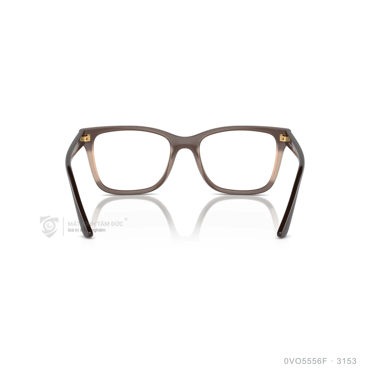 Gọng kính Vogue 0VO5556F - Ảnh 10