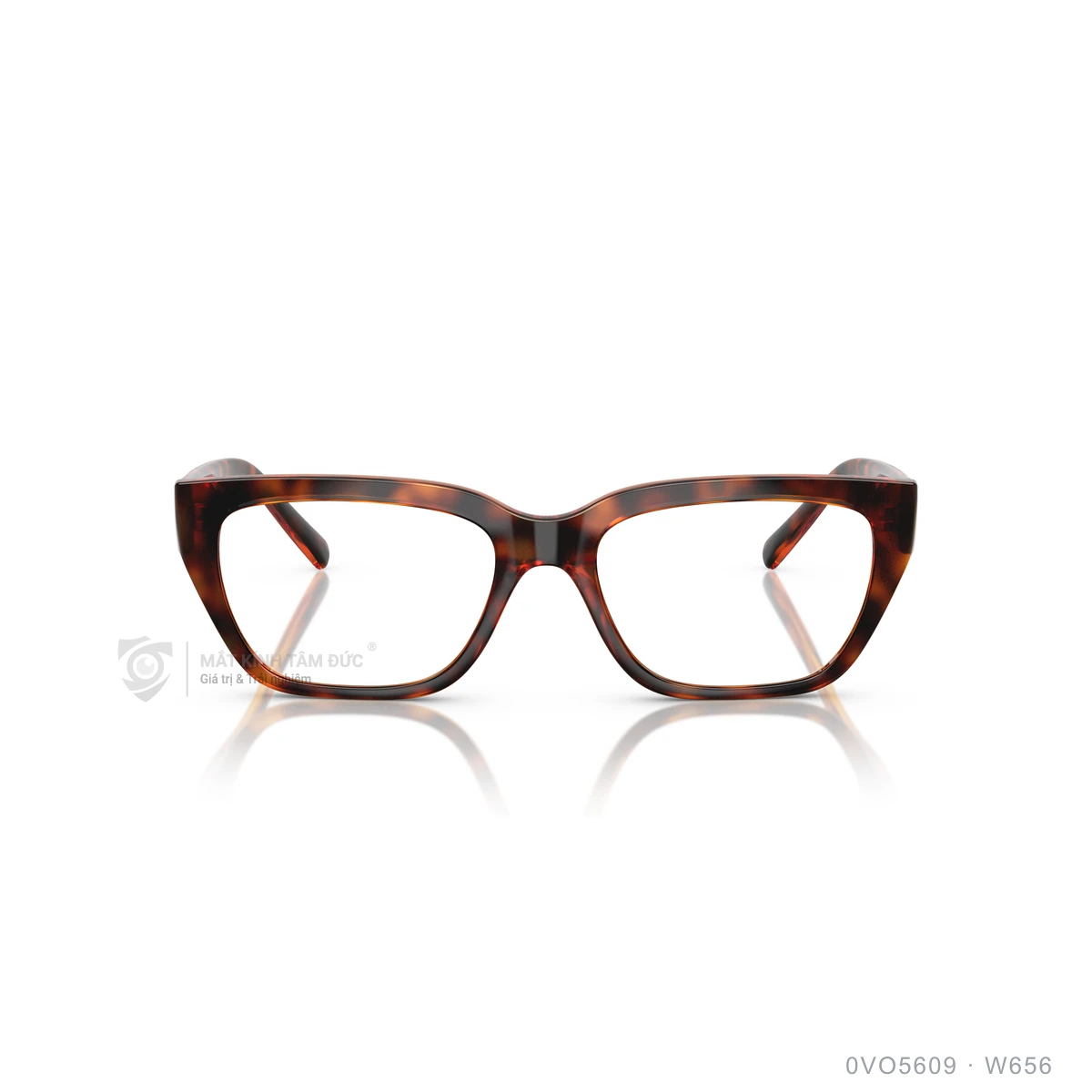 Gọng kính Vogue 0VO5609 - Ảnh 21