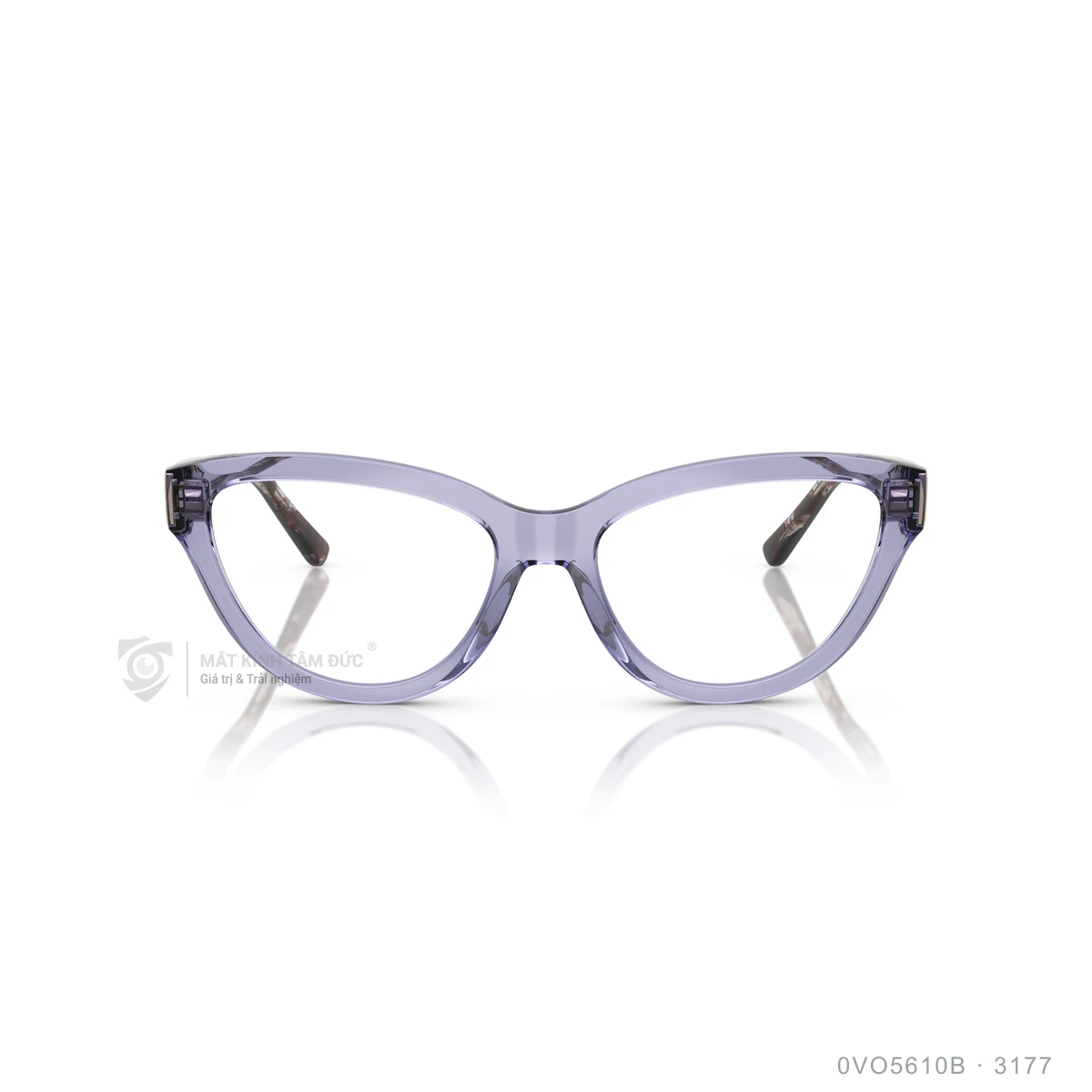 Gọng kính Vogue 0VO5610B