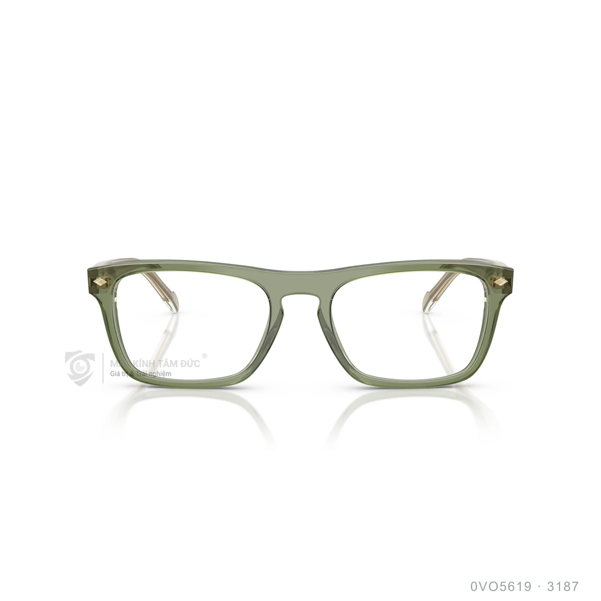 Gọng kính Vogue 0VO5619