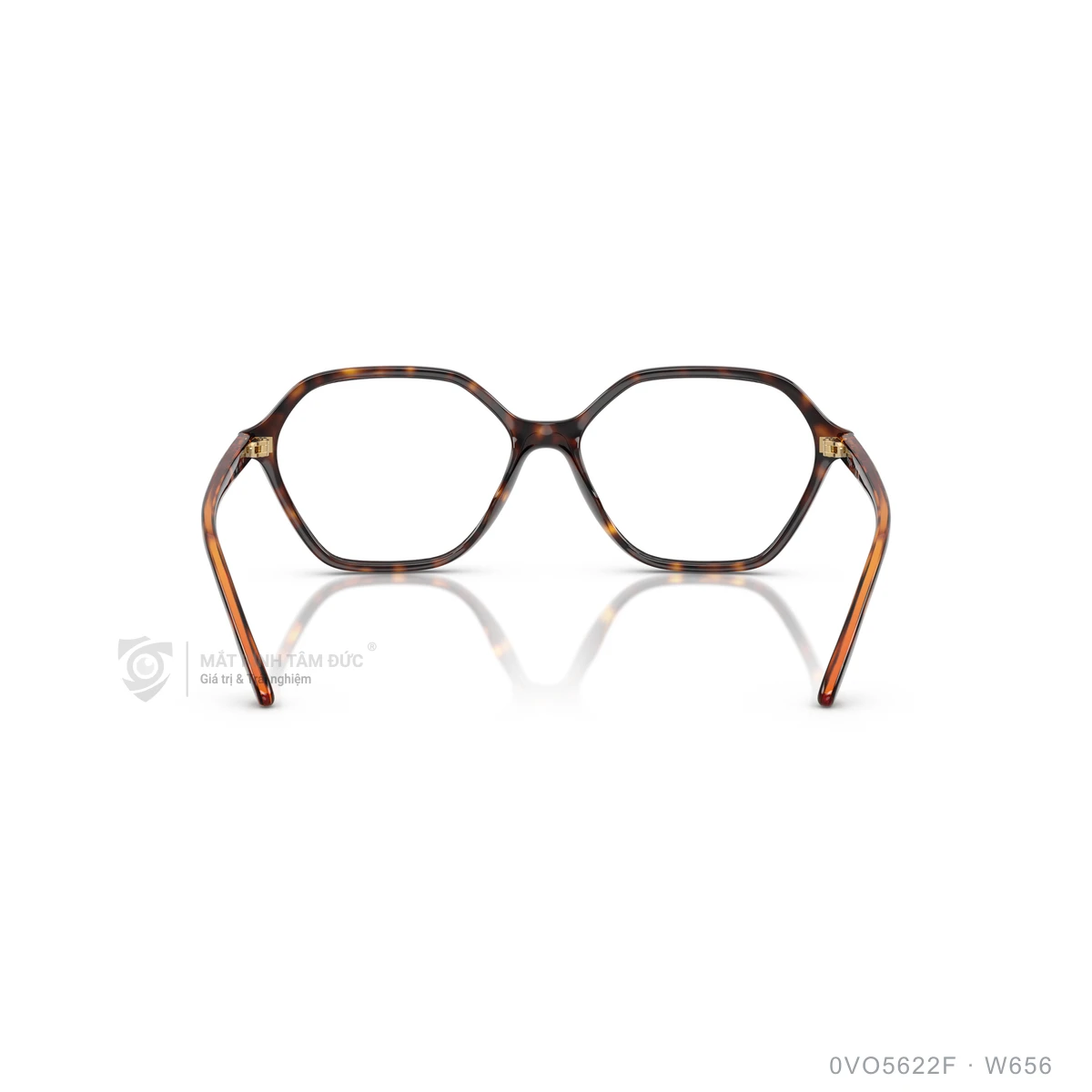 Gọng kính Vogue 0VO5622F - Ảnh 5