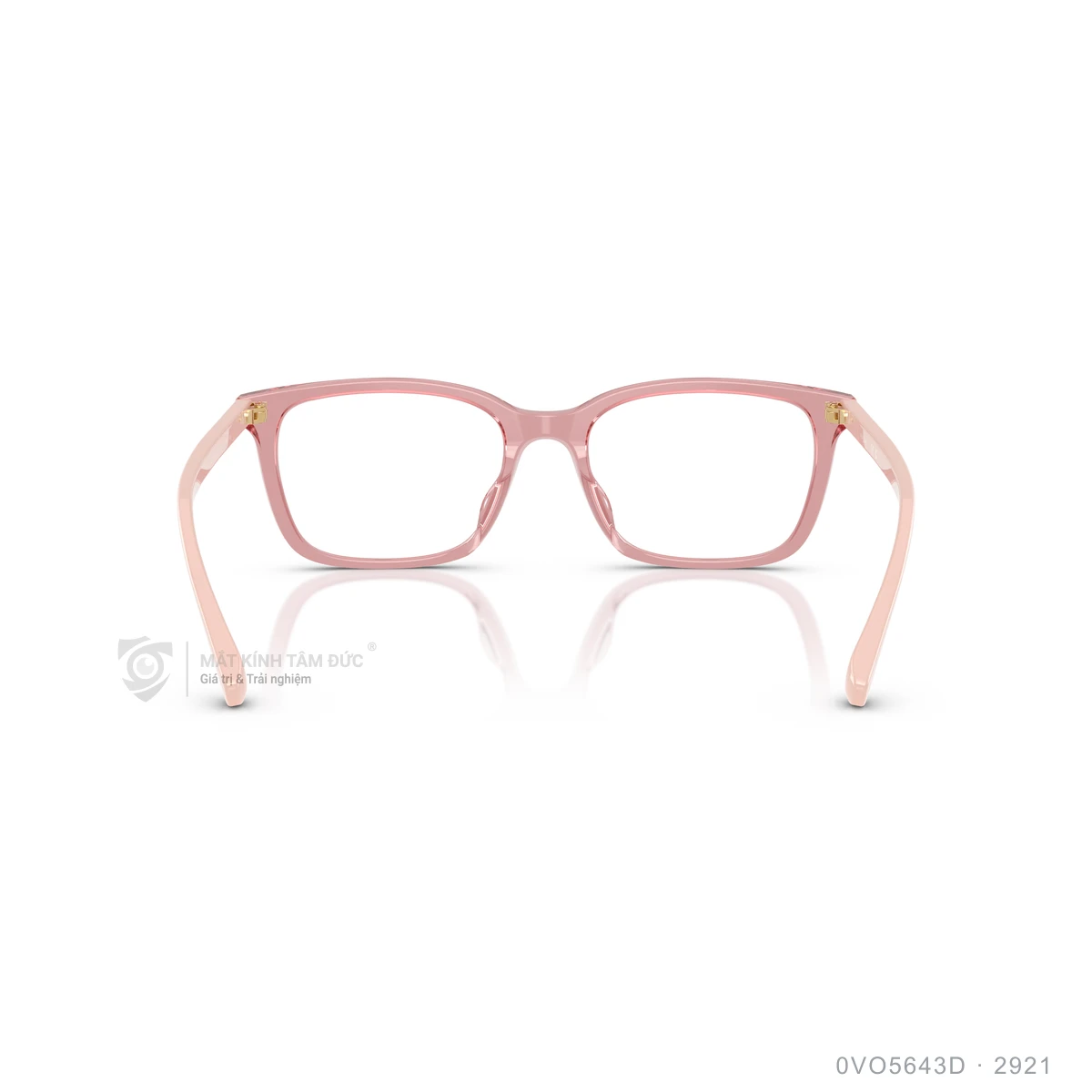 Gọng kính Vogue 0VO5643D - Ảnh 5