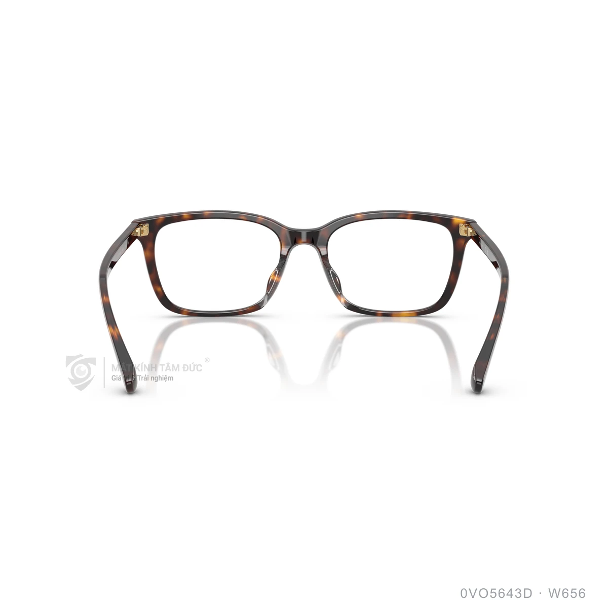 Gọng kính Vogue 0VO5643D - Ảnh 20