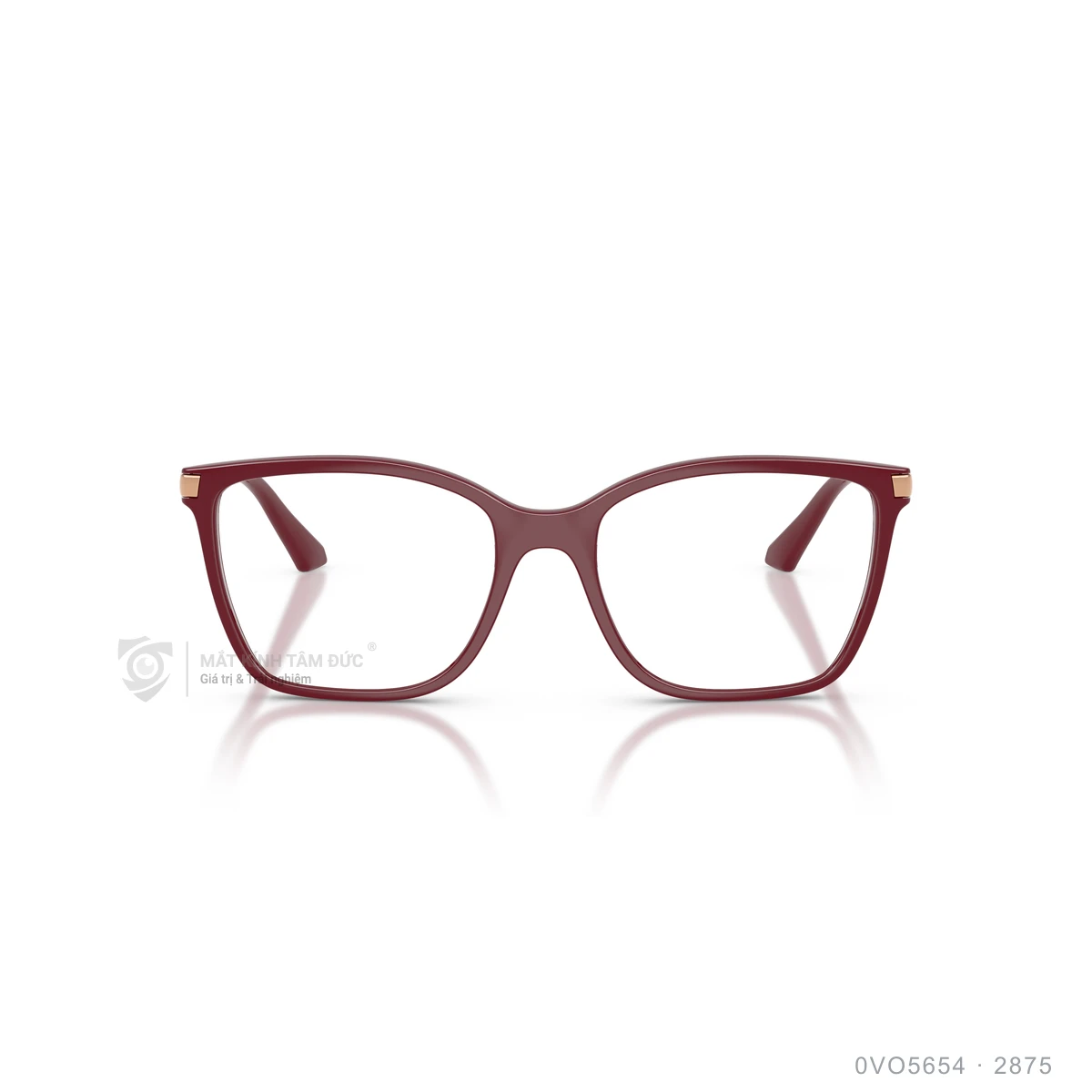 Gọng kính Vogue 0VO5654