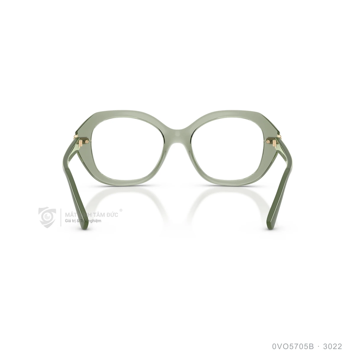 Gọng kính Vogue 0VO5705B - Ảnh 15