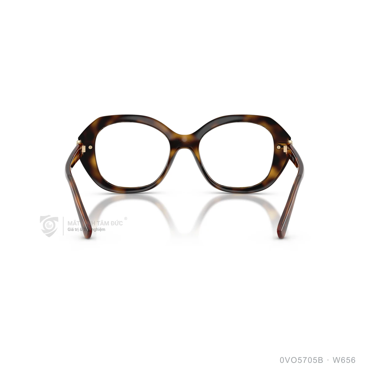 Gọng kính Vogue 0VO5705B - Ảnh 25