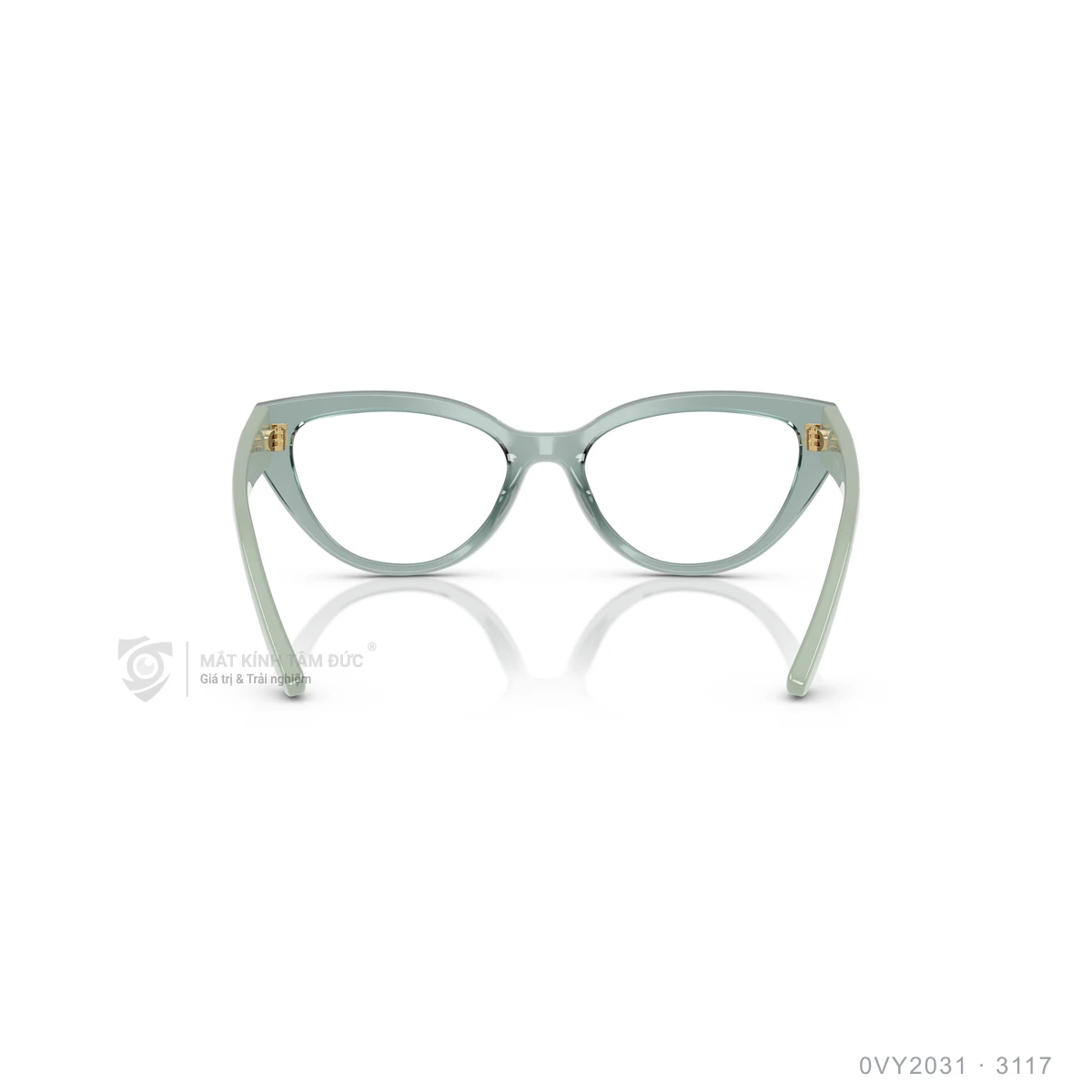 Gọng kính Vogue 0VY2031 - Ảnh 10