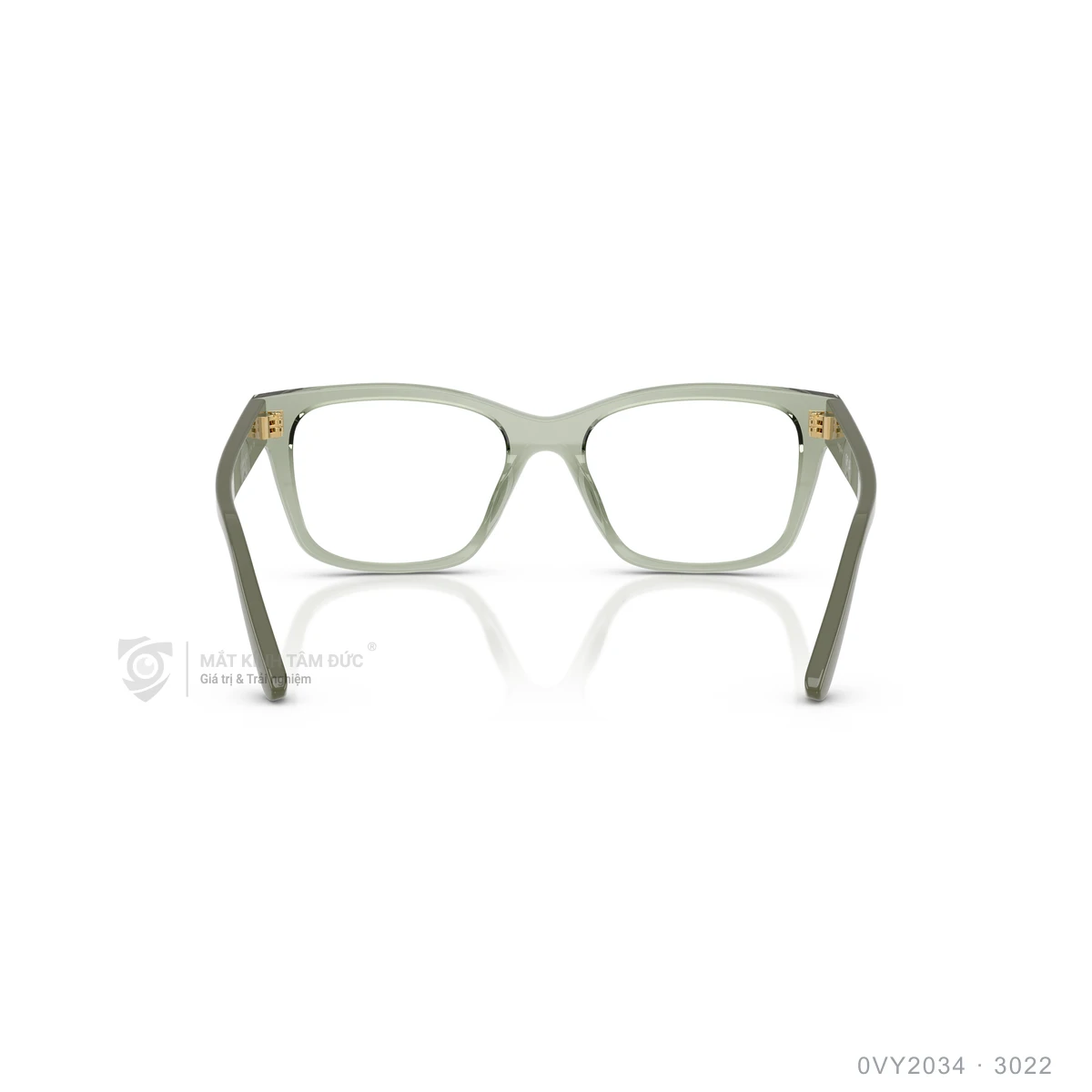 Gọng kính Vogue 0VY2034 - Ảnh 20