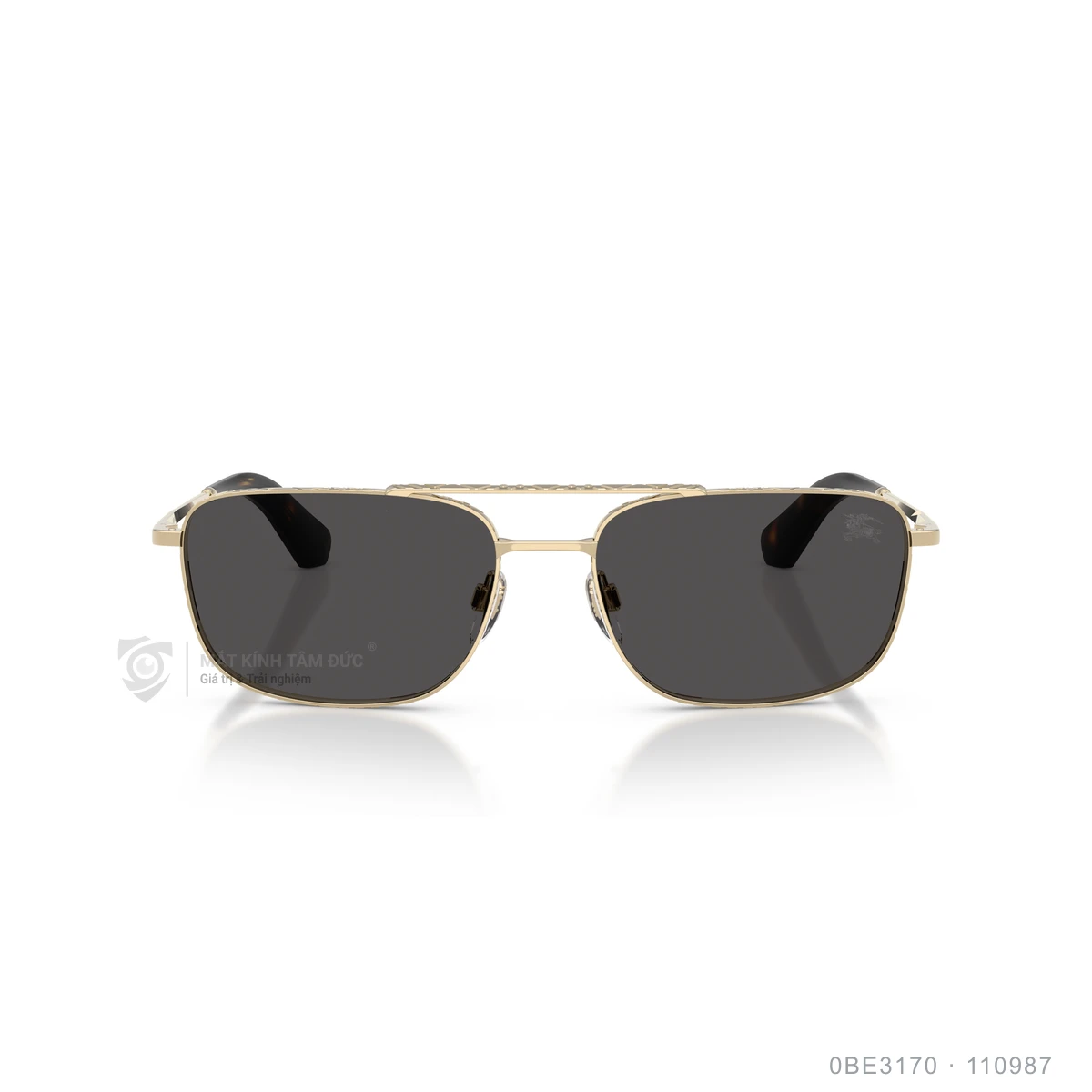 Kính mát Burberry 0BE3170 - Ảnh 21
