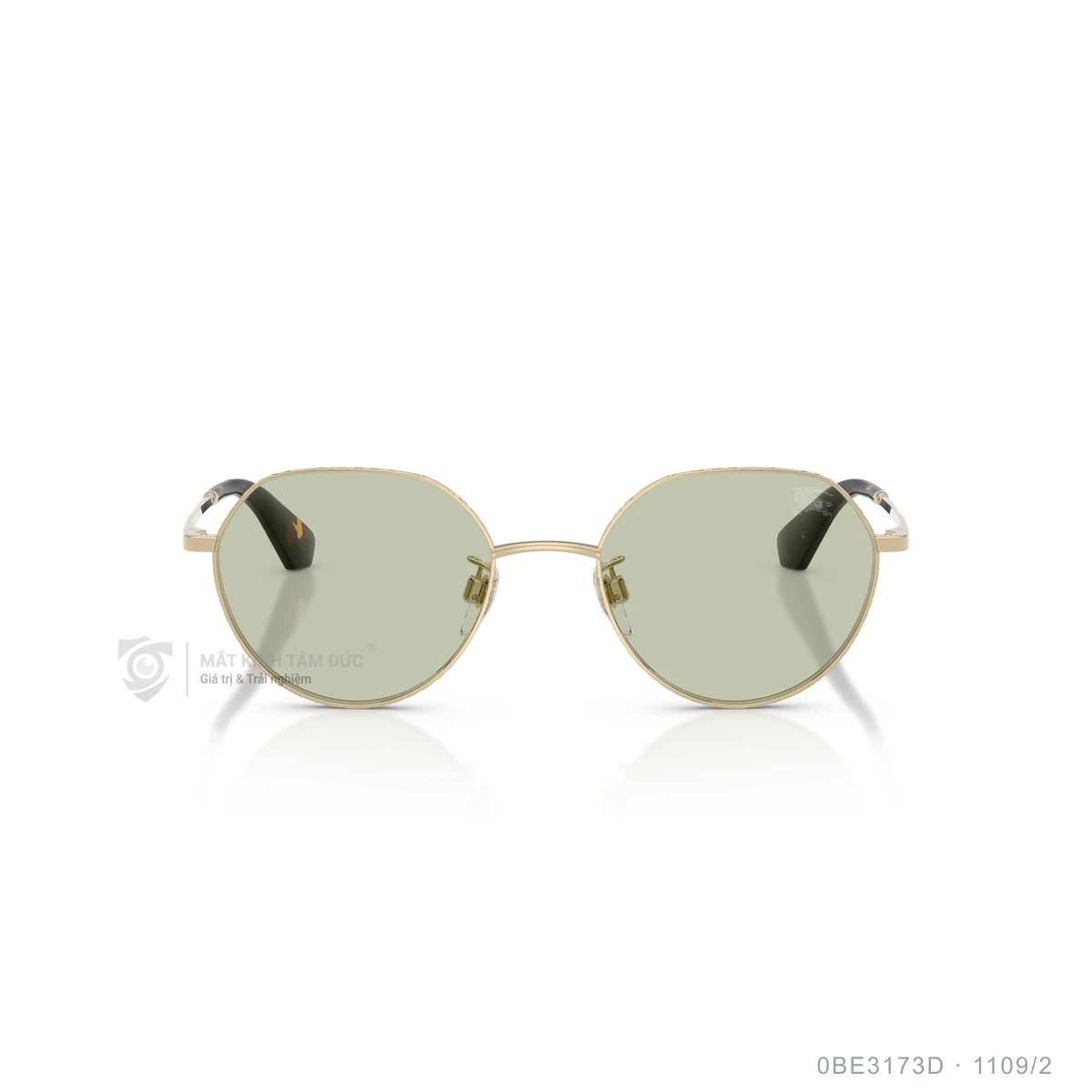 Kính mát Burberry 0BE3173D - Ảnh 6