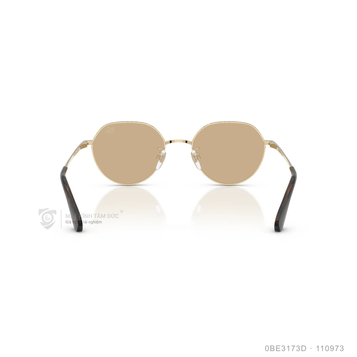 Kính mát Burberry 0BE3173D - Ảnh 15