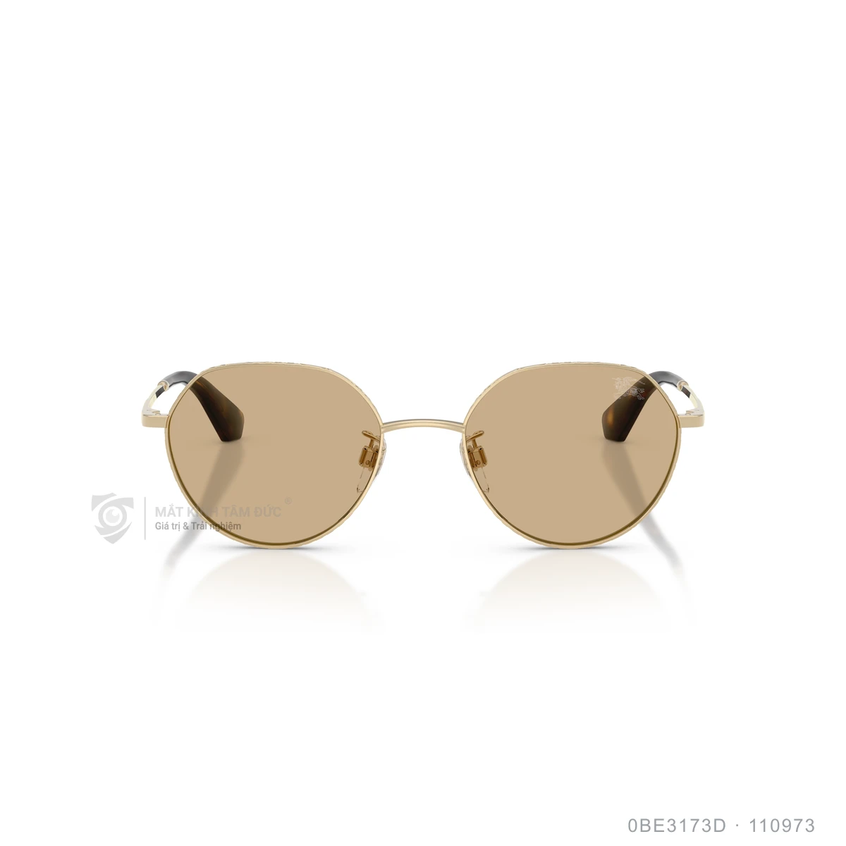 Kính mát Burberry 0BE3173D - Ảnh 11