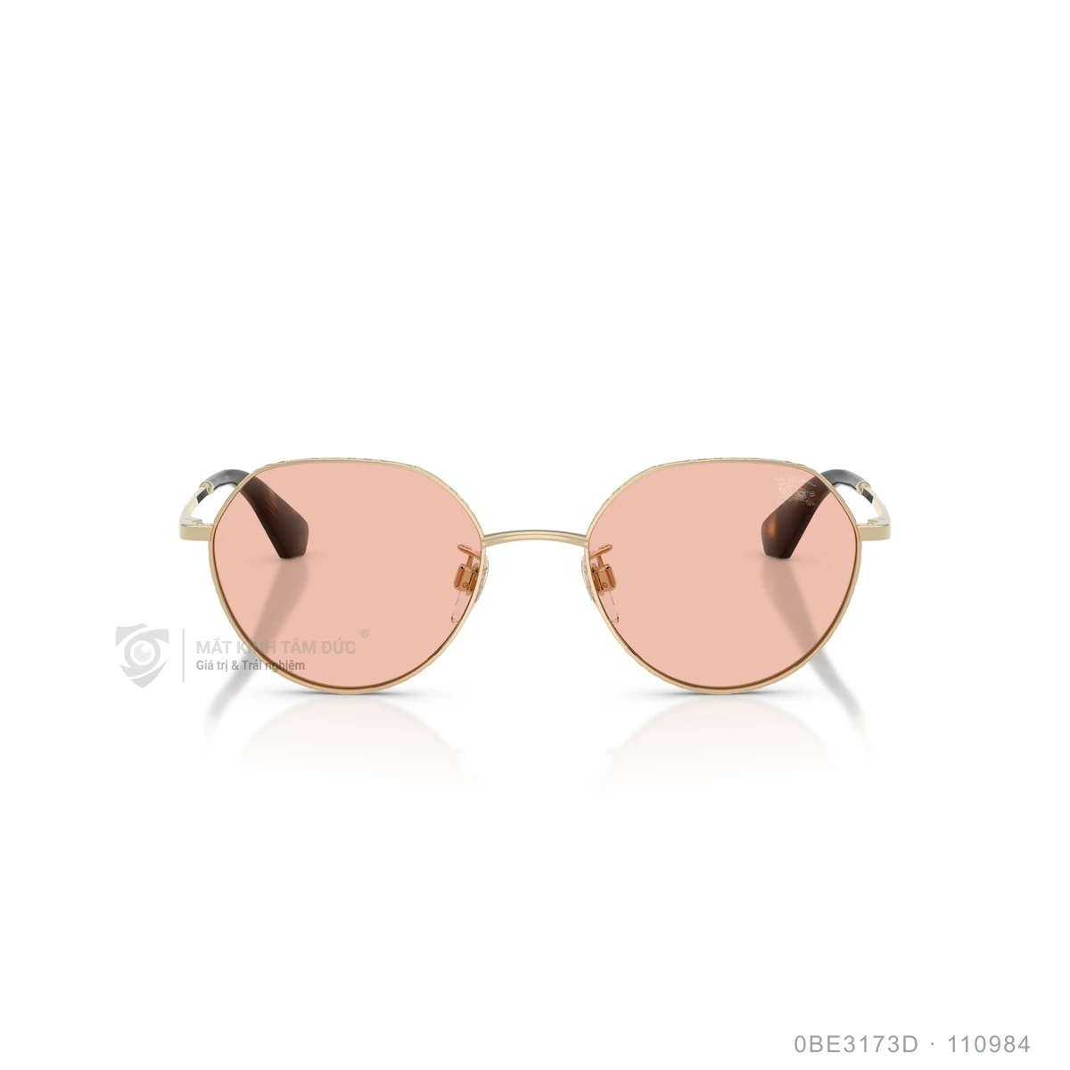 Kính mát Burberry 0BE3173D - Ảnh 16