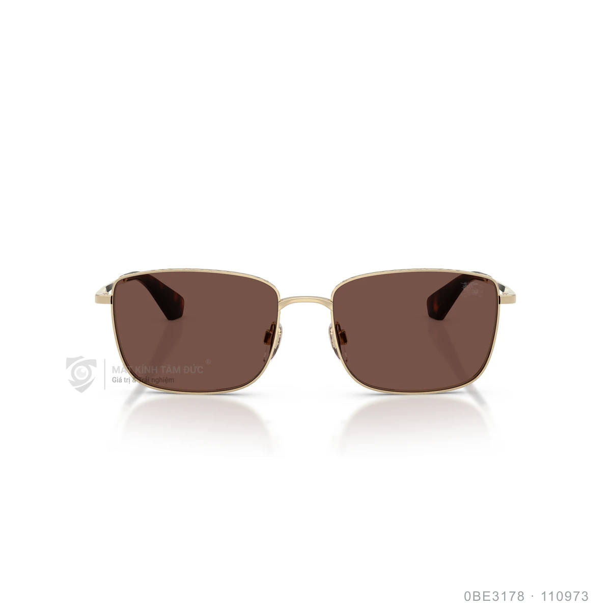 Kính mát Burberry 0BE3178 - Ảnh 16