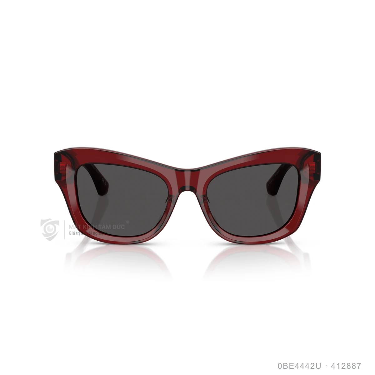 Kính mát Burberry 0BE4442U - Ảnh 16