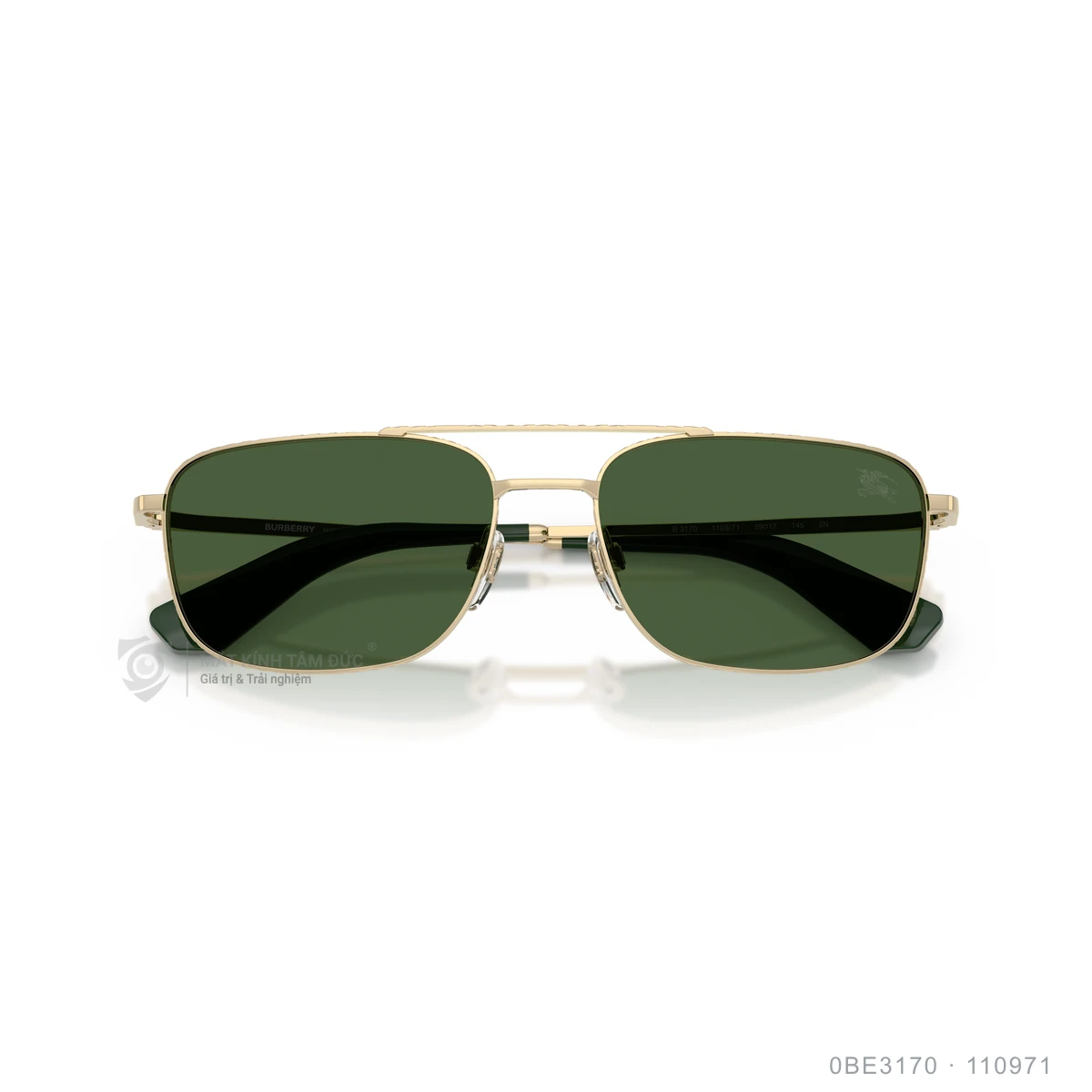 Kính mát Burberry 0BE3170 - Ảnh 13